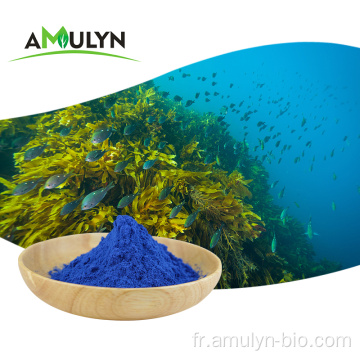 Colorant alimentaire naturel en poudre de phycocyanine de spiruline bleue